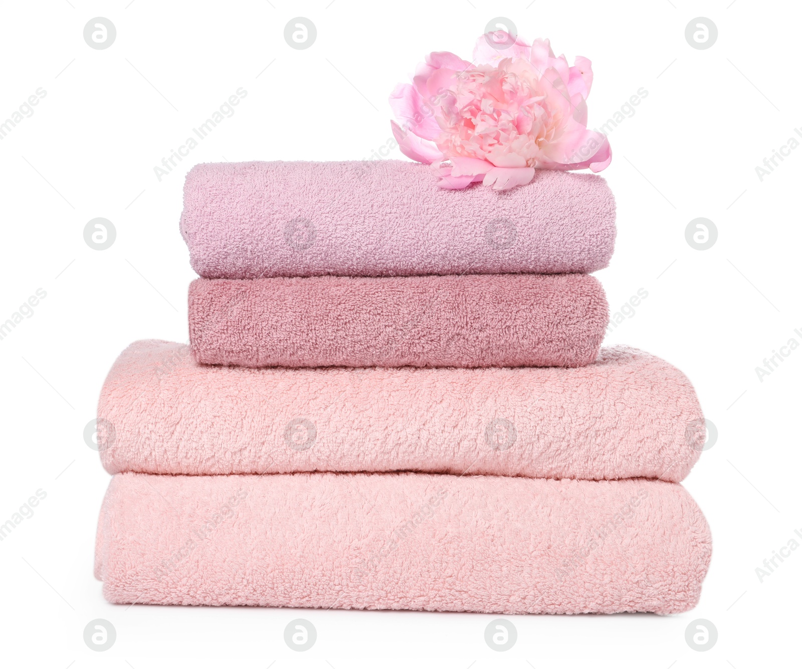 Stack of towels and peony flower isolated on white Photo of Stack of towels and peony flower isolated on white