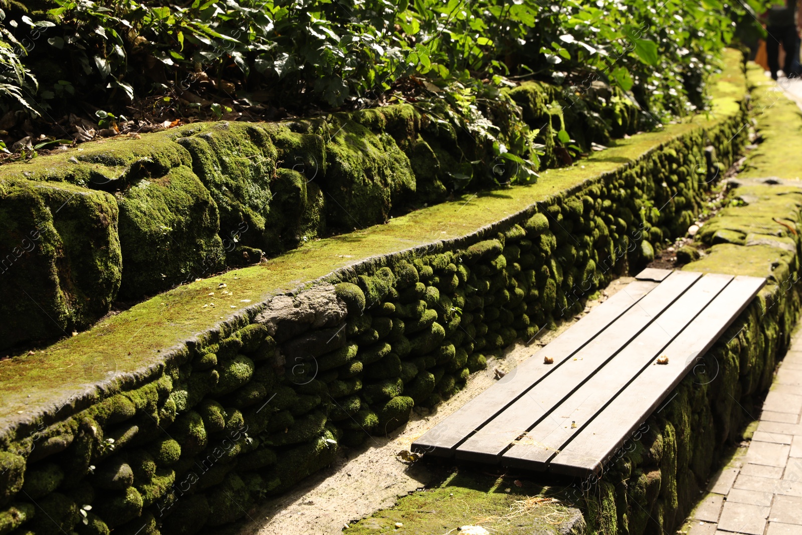 Wooden bench on rocky surface overgrown with moss in park Photo of Wooden bench on rocky surface overgrown with moss in park