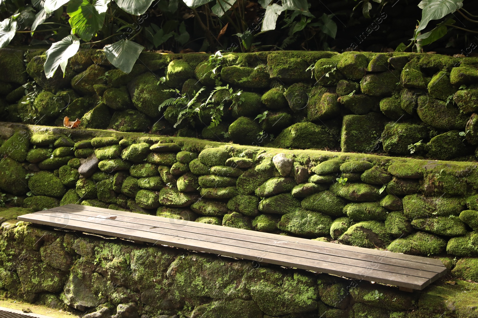 Wooden bench on rocky surface overgrown with moss in park Photo of Wooden bench on rocky surface overgrown with moss in park