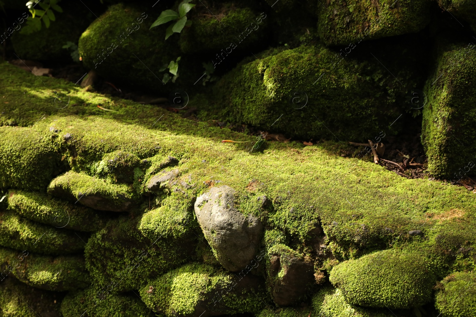 Rocks overgrown with moss in park, closeup Photo of Rocks overgrown with moss in park, closeup