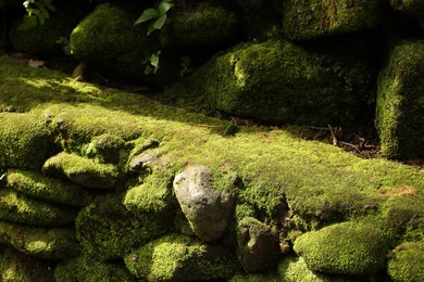 Photo of Rocks overgrown with moss in park, closeup
