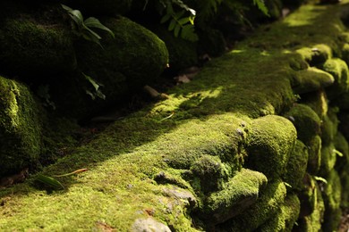 Photo of Rocks overgrown with moss in park, closeup