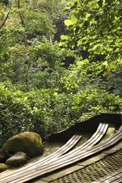 Photo of Wooden benches and lush tropical greenery in park