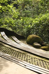 Photo of Wooden benches and lush tropical greenery in park