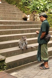 Photo of Bali, Indonesia - June 2, 2025: Man and cute monkey sitting on stone stairs outdoors
