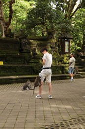 Photo of Bali, Indonesia - June 2, 2025: Men and cute monkeys outdoors