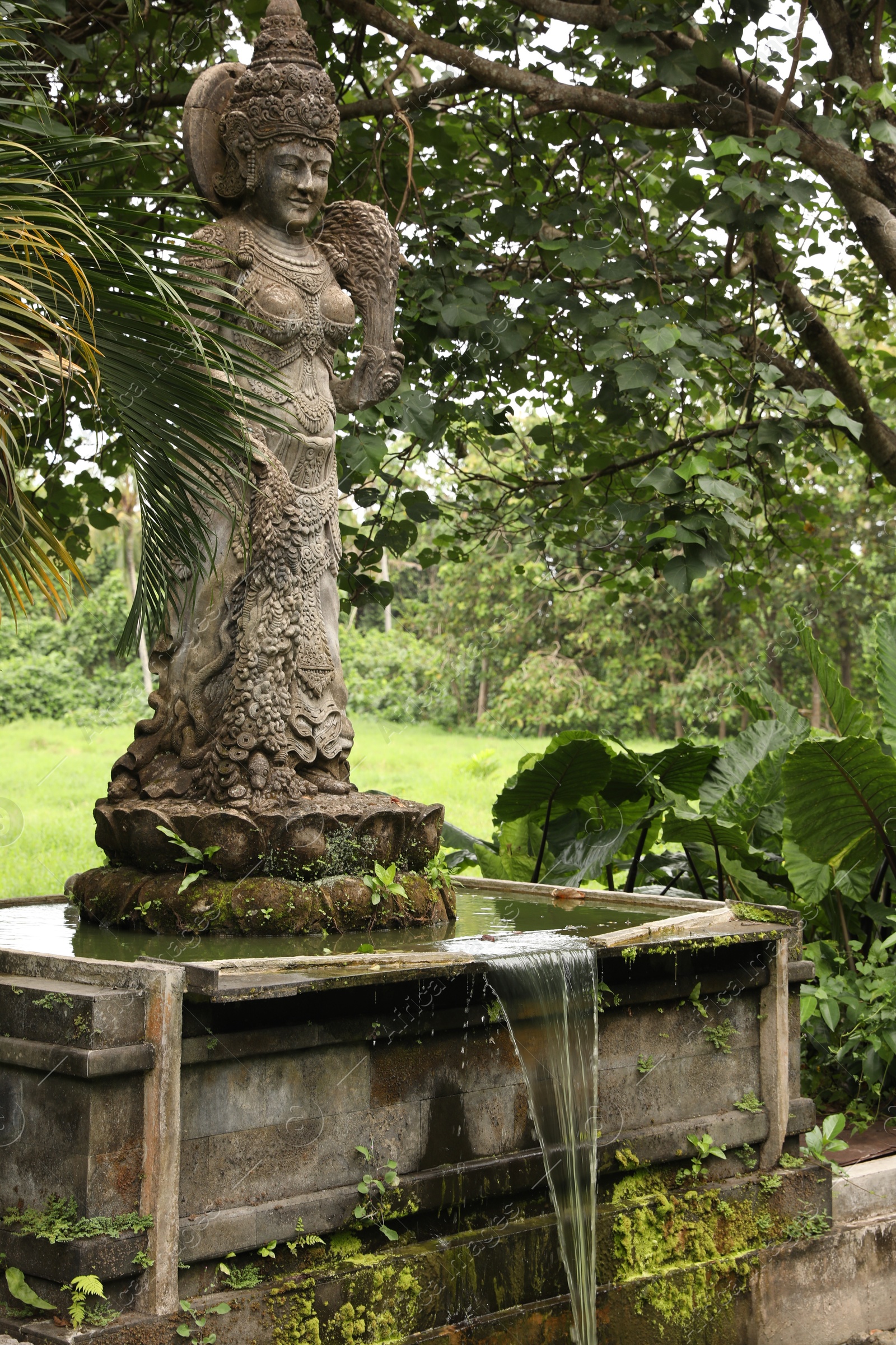 Bali, Indonesia - June 2, 2025: Beautiful ancient goddess statue and tropical trees in Ubud Monkey Forest Photo of Bali, Indonesia - June 2, 2025: Beautiful ancient goddess statue and tropical trees in Ubud Monkey Forest