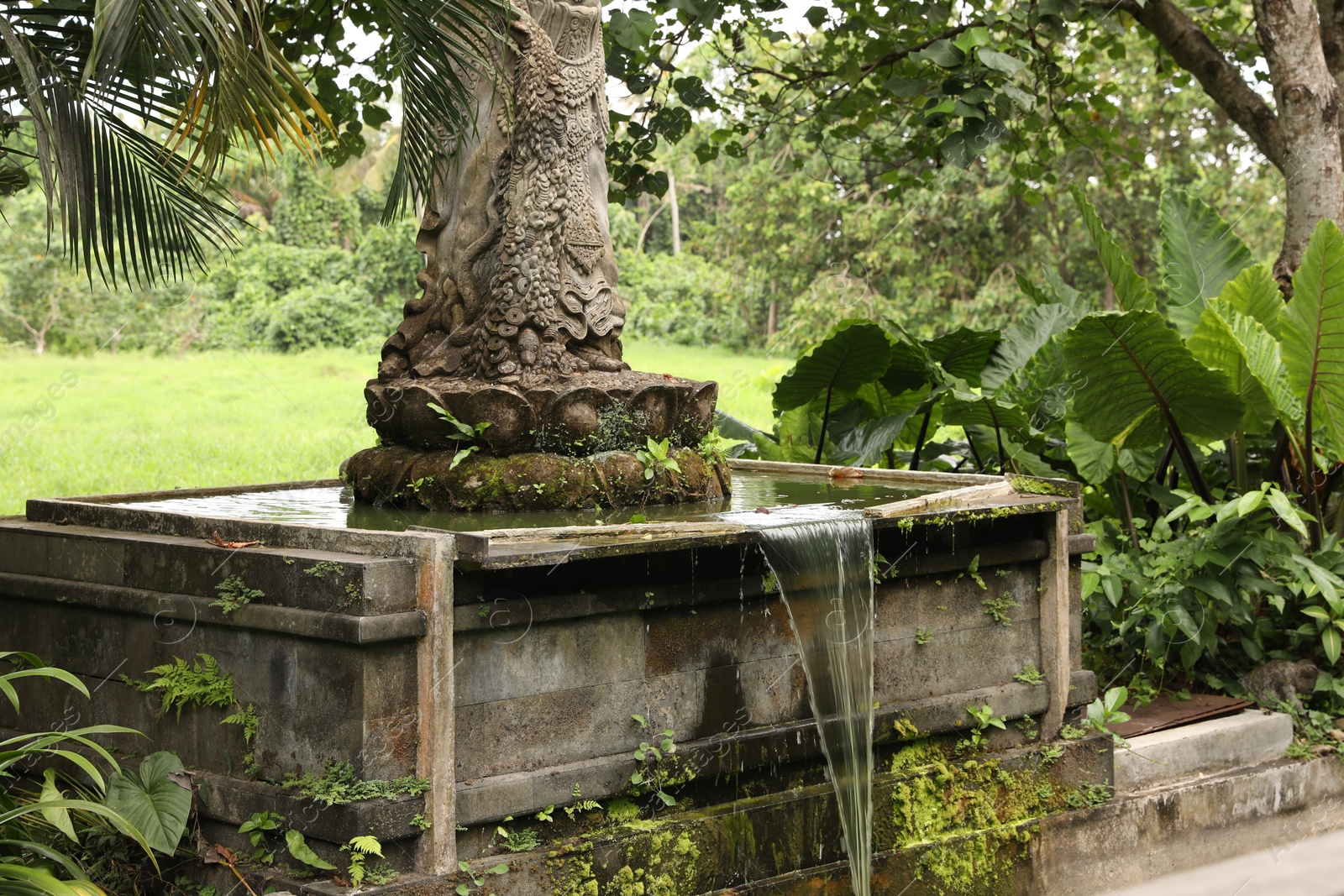Bali, Indonesia - June 2, 2025: Beautiful ancient goddess statue with fountain and tropical plants in Ubud Monkey Forest, closeup Photo of Bali, Indonesia - June 2, 2025: Beautiful ancient goddess statue with fountain and tropical plants in Ubud Monkey Forest, closeup