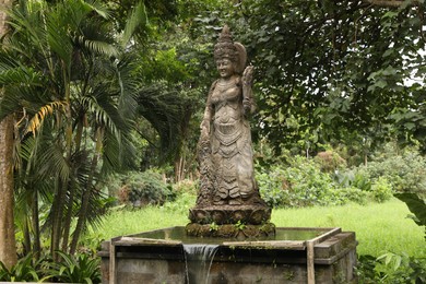 Photo of Bali, Indonesia - June 2, 2025: Beautiful ancient goddess statue and tropical trees in Ubud Monkey Forest