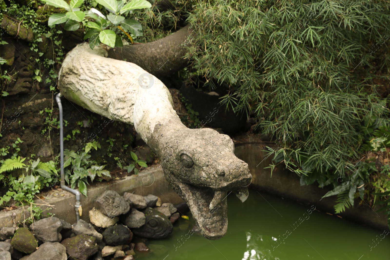 Bali, Indonesia - June 2, 2025: Stone snake statue and lush greenery by pond in Ubud Monkey Forest Photo of Bali, Indonesia - June 2, 2025: Stone snake statue and lush greenery by pond in Ubud Monkey Forest