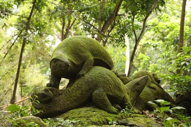 Photo of Bali, Indonesia - June 2, 2025: Ancient tortoise statues in Ubud Monkey Forest