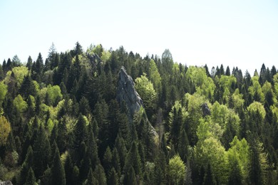 Photo of Picturesque view of mountains and forest on sunny day