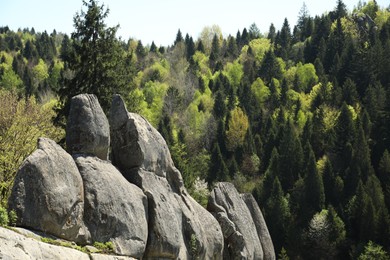 Photo of Picturesque view of mountains, rocky cliff and forest on sunny day