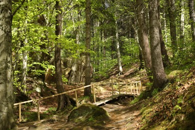 Photo of Picturesque view of wooden ladder in mountain forest