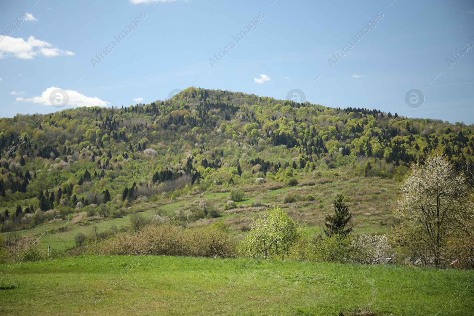Picturesque view of mountains and forest on sunny day Photo of Picturesque view of mountains and forest on sunny day