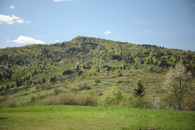 Photo of Picturesque view of mountains and forest on sunny day