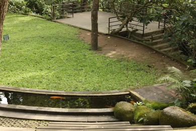 Photo of Water canal with golden fishes and green lawn in park