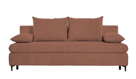 Image of Brown sofa isolated on white. Furniture for living room interior