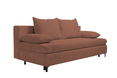 Image of Brown sofa isolated on white. Furniture for living room interior