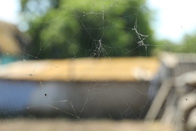Photo of Beautiful cobweb on blurred background, closeup view