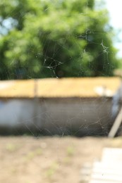 Photo of Beautiful cobweb on blurred background, closeup view