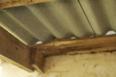 Photo of Beautiful cobweb on building outdoors, low angle view