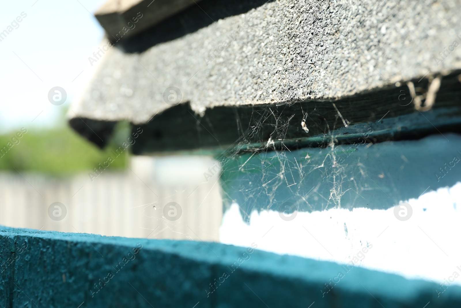 Beautiful cobweb on building outdoors, closeup view Photo of Beautiful cobweb on building outdoors, closeup view
