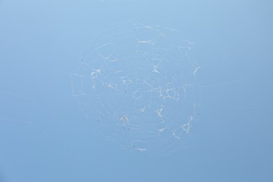 Photo of Beautiful cobweb under blue sky, low angle view