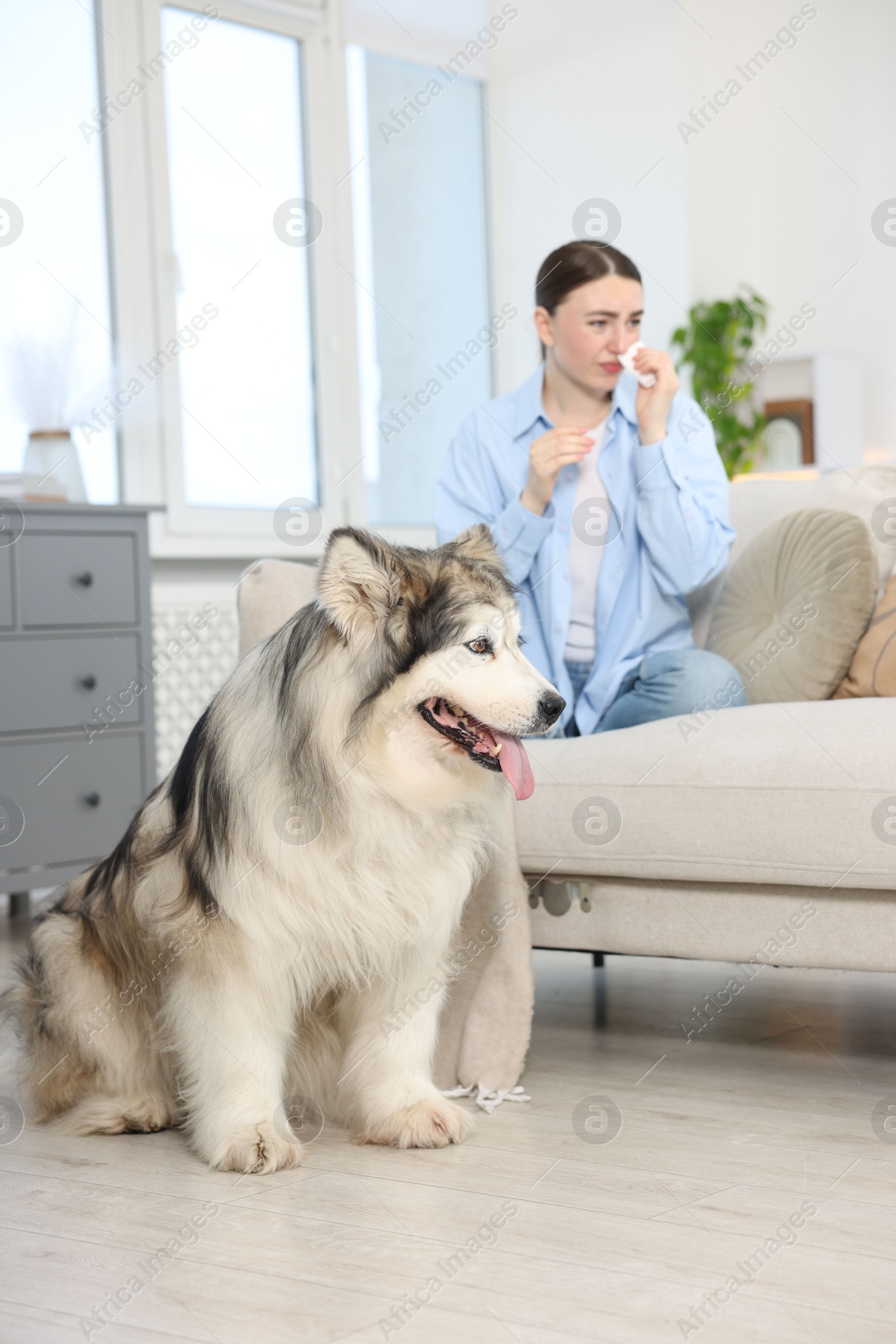 Photo of Woman suffering from allergy with her dog at home