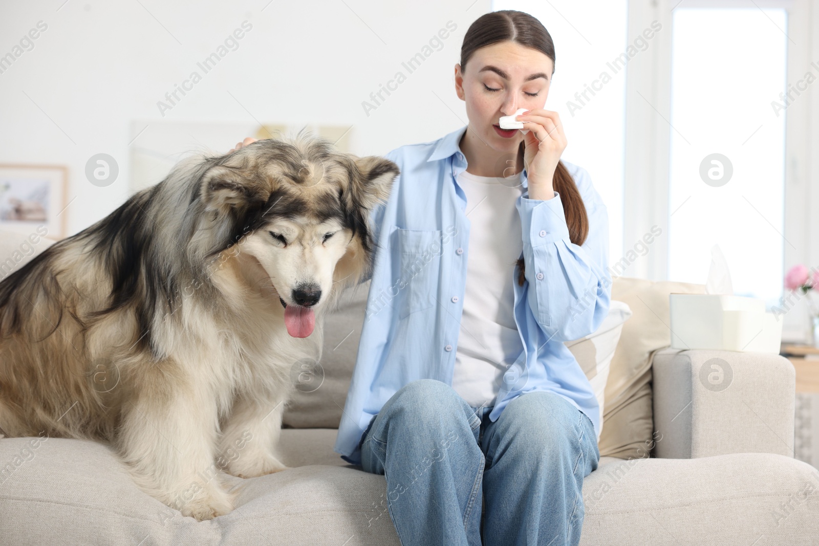 Woman suffering from allergy with her dog at home Photo of Woman suffering from allergy with her dog at home