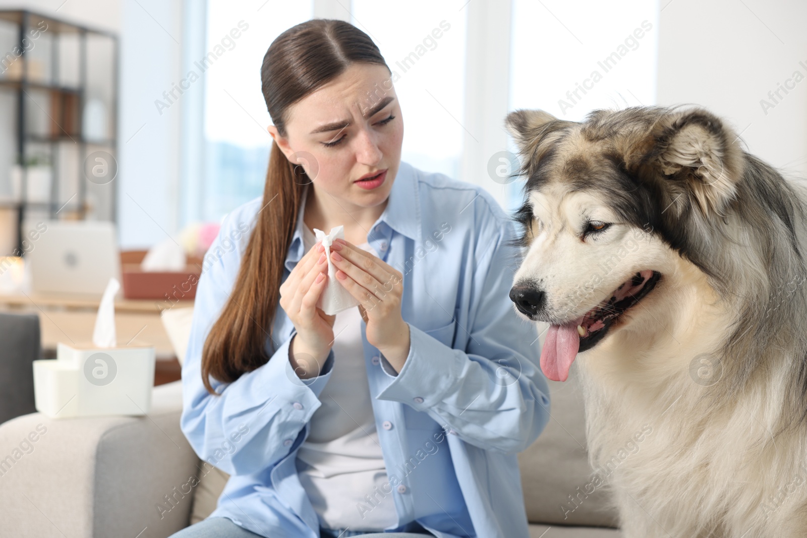 Woman suffering from allergy with her dog at home Photo of Woman suffering from allergy with her dog at home