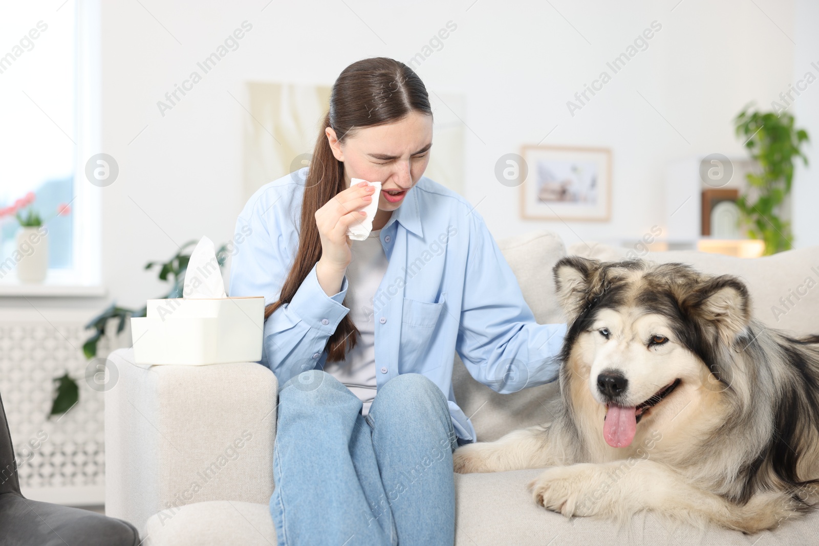 Woman suffering from allergy with her dog at home Photo of Woman suffering from allergy with her dog at home
