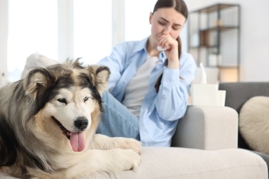 Photo of Woman suffering from allergy with her dog at home, selective focus