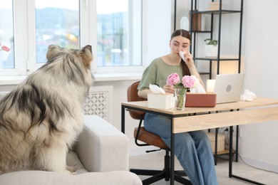 Photo of Woman suffering from allergy while working and her dog at home, selective focus