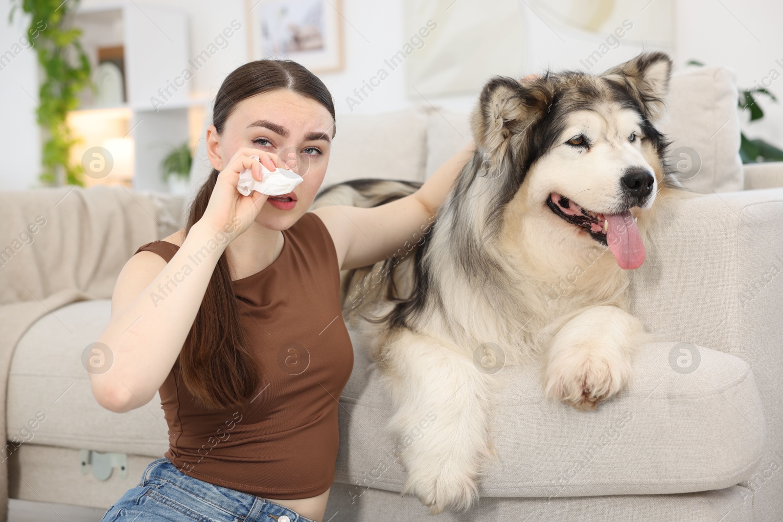 Woman suffering from allergy with her dog at home Photo of Woman suffering from allergy with her dog at home