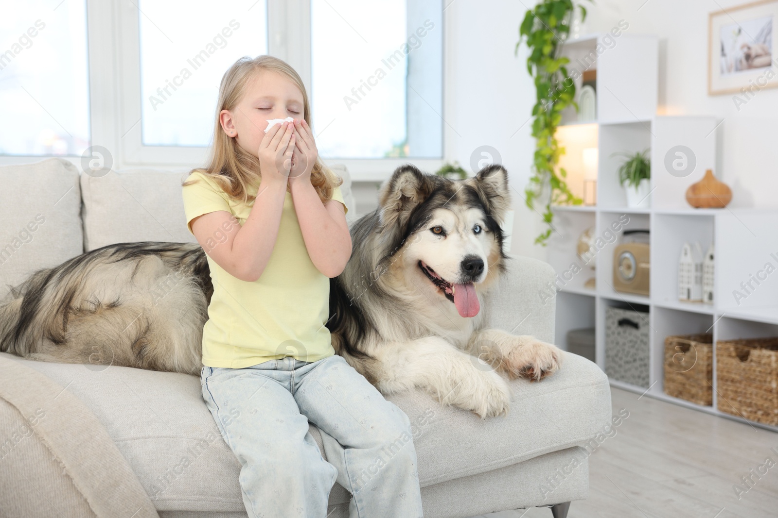 Girl suffering from allergy with her dog at home Photo of Girl suffering from allergy with her dog at home