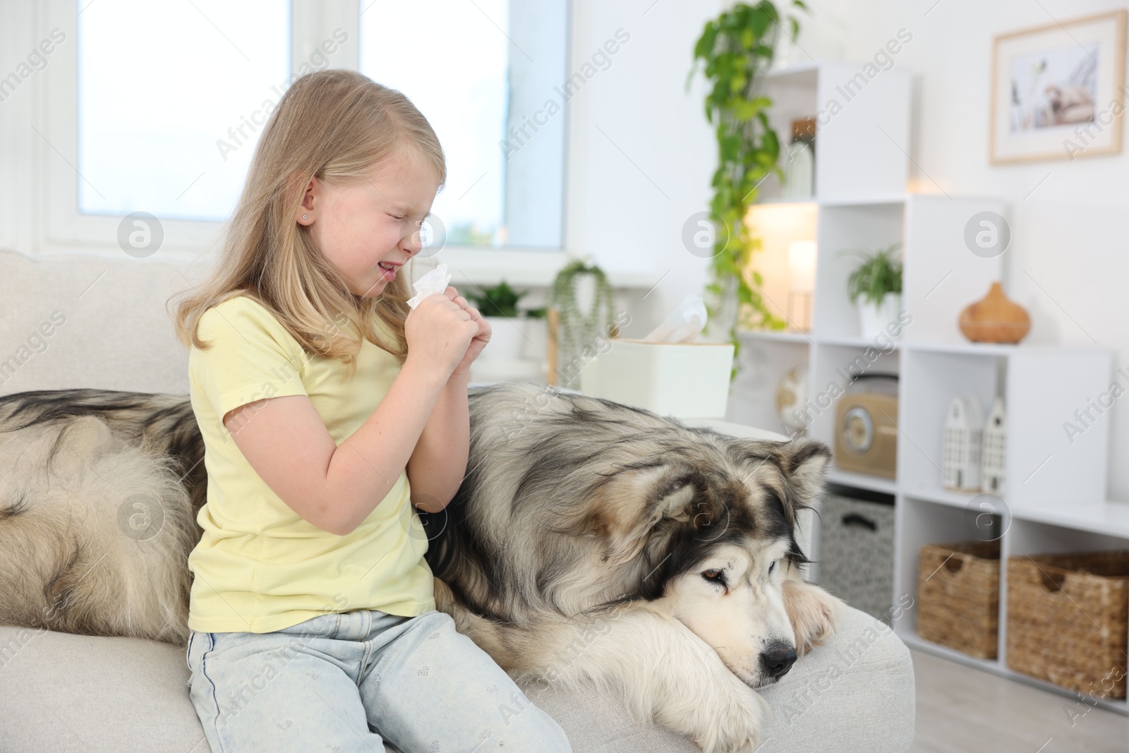 Girl suffering from allergy with her dog at home Photo of Girl suffering from allergy with her dog at home