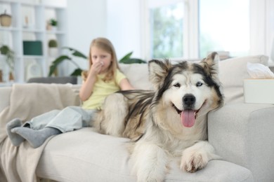 Photo of Girl suffering from allergy with her dog at home, selective focus