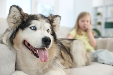 Photo of Girl suffering from allergy with her dog at home, selective focus