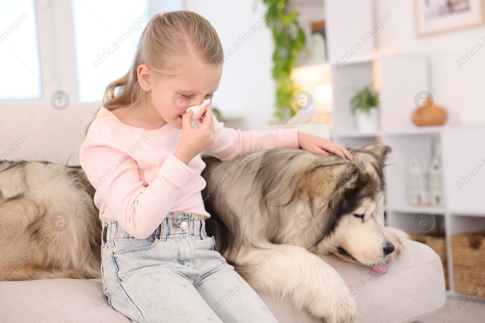 Girl suffering from allergy with her dog at home Photo of Girl suffering from allergy with her dog at home