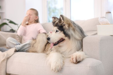 Photo of Girl suffering from allergy with her dog at home, selective focus
