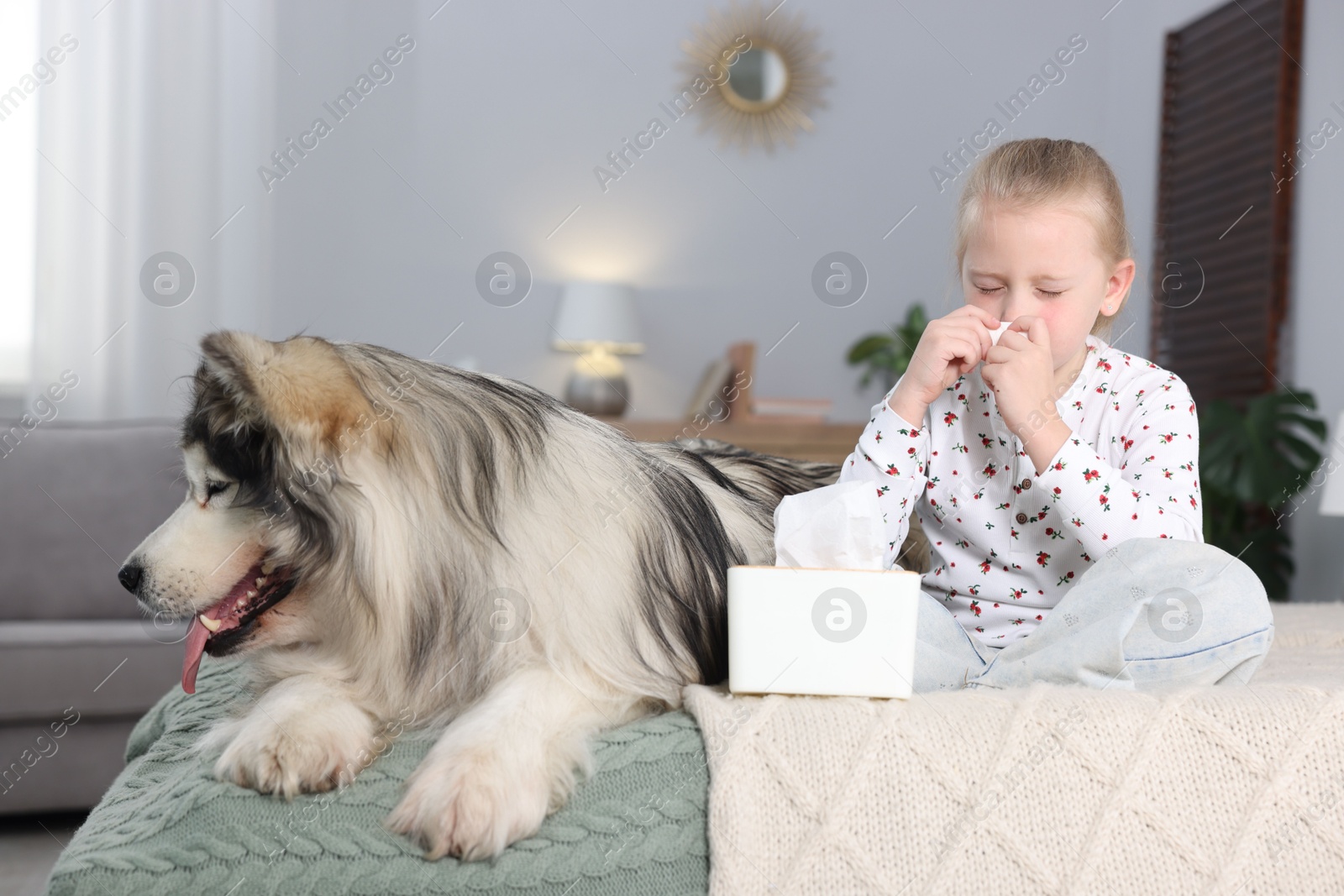 Girl suffering from allergy with her dog on bed at home Photo of Girl suffering from allergy with her dog on bed at home