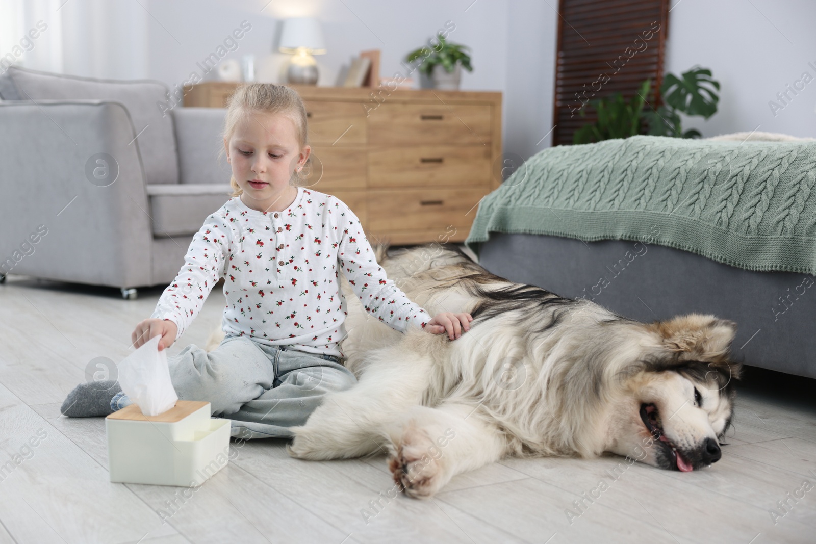 Girl suffering from allergy with her dog at home Photo of Girl suffering from allergy with her dog at home