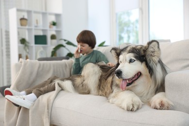 Photo of Boy suffering from allergy with her dog on sofa at home, selective focus