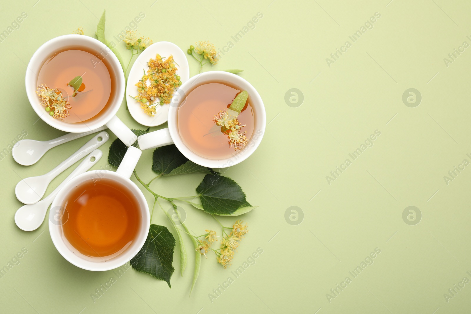 Tasty linden tea in cups, spoons, leaves and flowers on light green background, flat lay. Space for text Photo of Tasty linden tea in cups, spoons, leaves and flowers on light green background, flat lay. Space for text