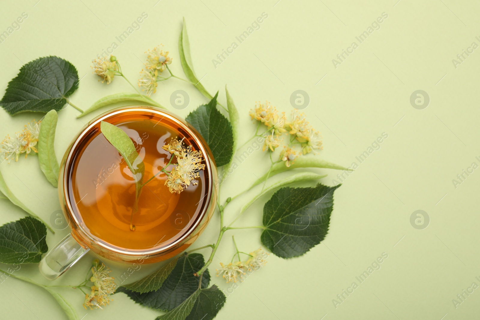 Tasty linden tea in cup, leaves and flowers on light green background, flat lay. Space for text Photo of Tasty linden tea in cup, leaves and flowers on light green background, flat lay. Space for text