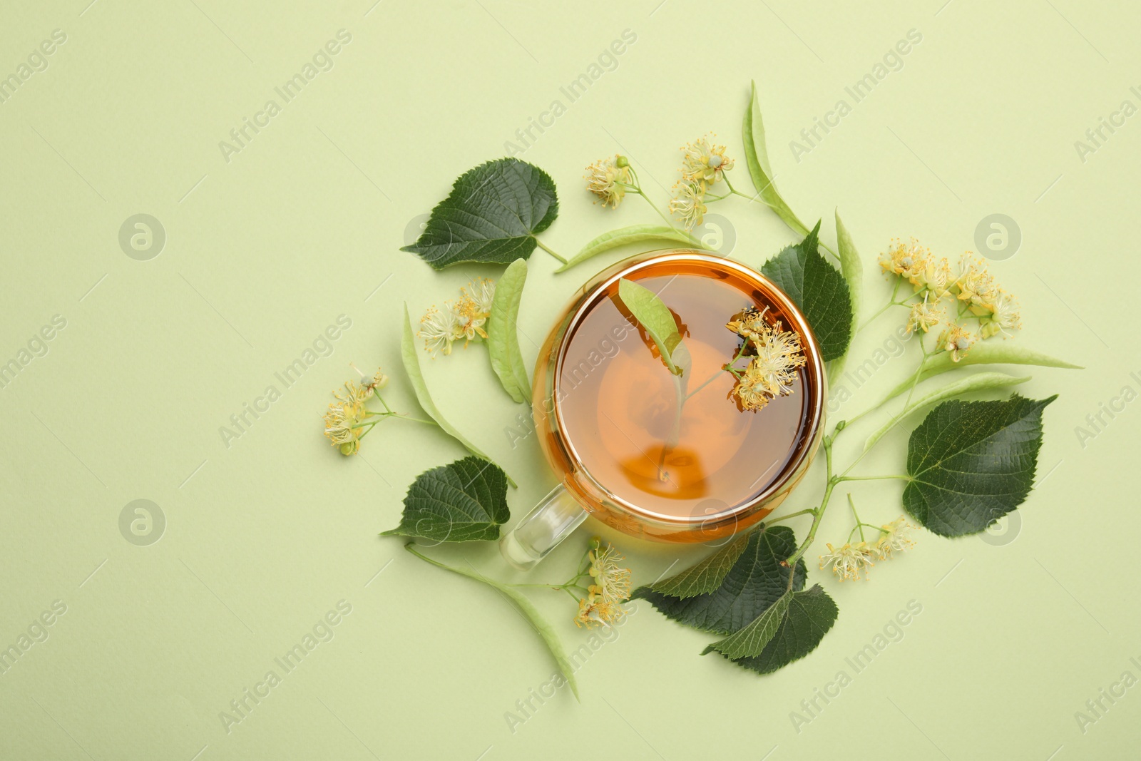 Tasty linden tea in cup, leaves and flowers on light green background, flat lay. Space for text Photo of Tasty linden tea in cup, leaves and flowers on light green background, flat lay. Space for text