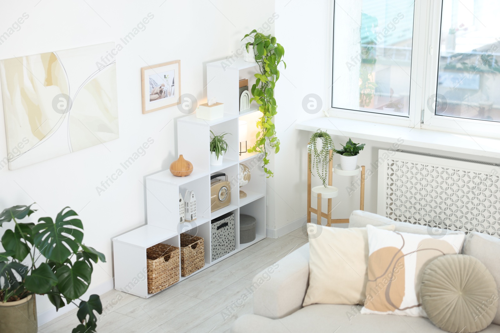Shelving unit with decor and plants in stylish room, above view Photo of Shelving unit with decor and plants in stylish room, above view