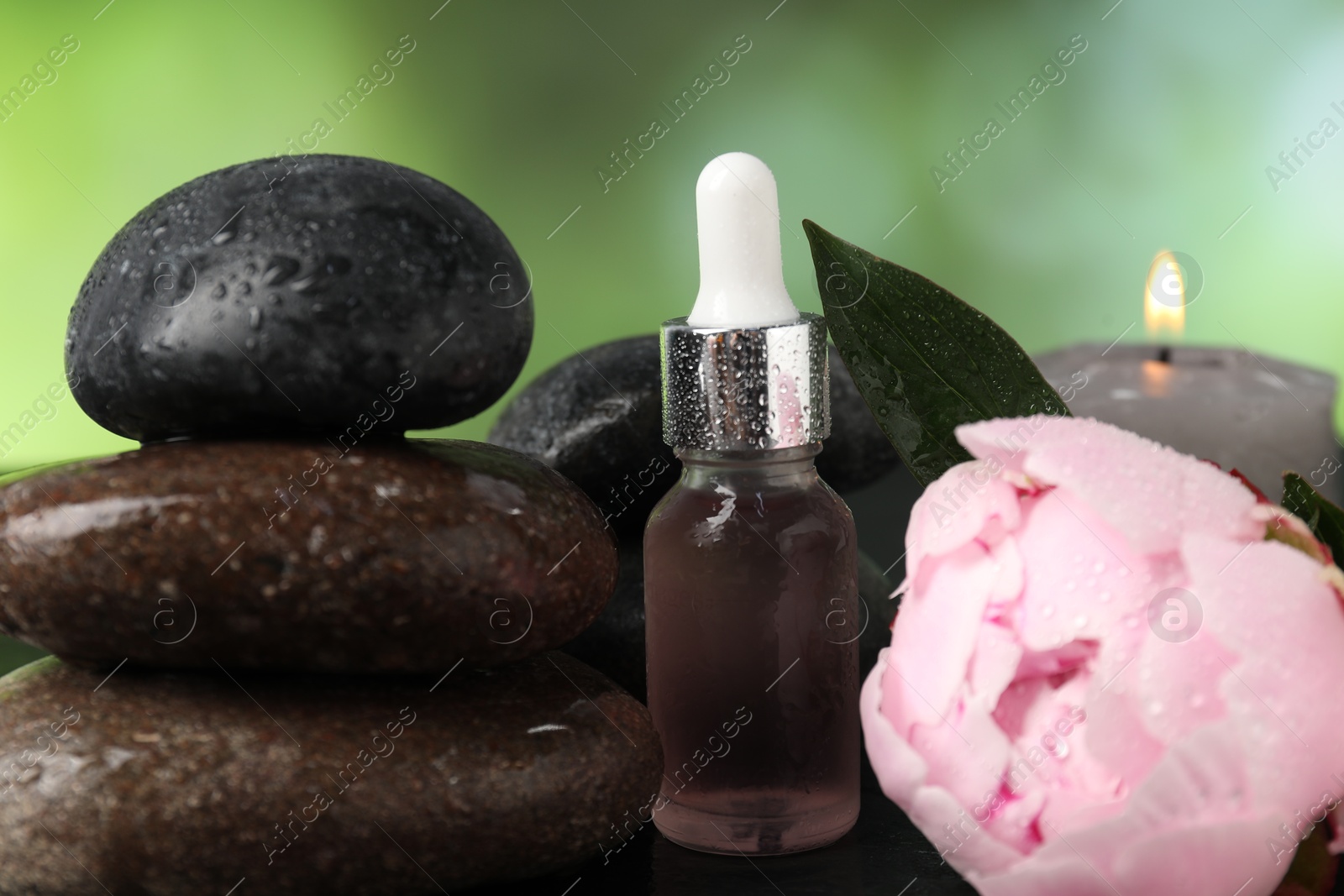 Spa composition with wet stones, dropper and flower on dark table against blurred green background, closeup Photo of Spa composition with wet stones, dropper and flower on dark table against blurred green background, closeup