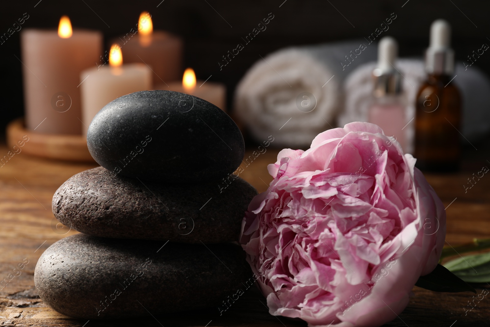 Spa composition with stones and flower on wooden table against black background, closeup Photo of Spa composition with stones and flower on wooden table against black background, closeup